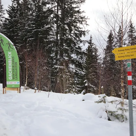 Apartamento Aileen By Interhome Fliess